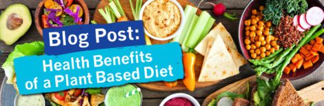 Health Benefits of a Plant-Based Diet