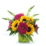 Wildly-Charmed-$49.99-sunflowers,-Gerbera-Daisies,-Snapdragons,-Assorted-Greens,-5in-Cube-Vase-(container-may-vary)-Approx-12Hx7W---show-in-seasonal-and-everyday
