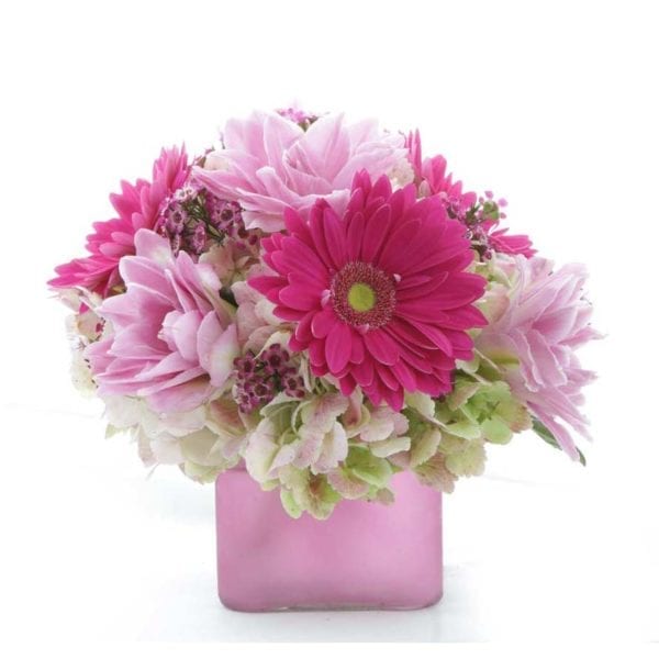 Blush-Beauty-$49.99-Gerbera-Diasies,-Double-Lilies,-Hydrangea,-Assorted-Filler,-5in-cube-vase-(container-may-vary)-Approx-10Hx6W
