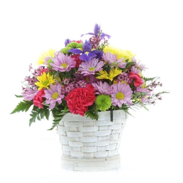 Simple-Wishes-$29.99-Pom-daisies,-iris,-carnations,-assorted-poms,-Assorted-filler,-assorted-greens,-4in-basket-(container-may-vary)-Approx-8Hx6W