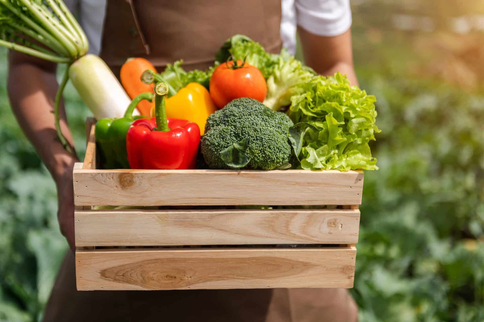 Farmer man holding wooden box full of fresh raw vegetables. Basket with fresh organic vegetable and peppers in the hands.