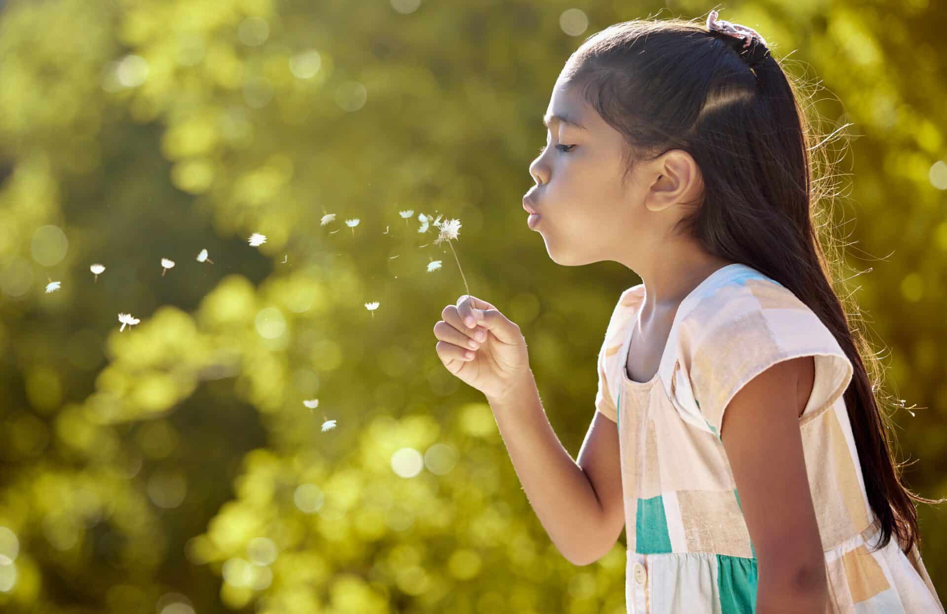 Dandelion blowing