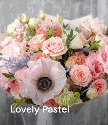 Lovely Pastel