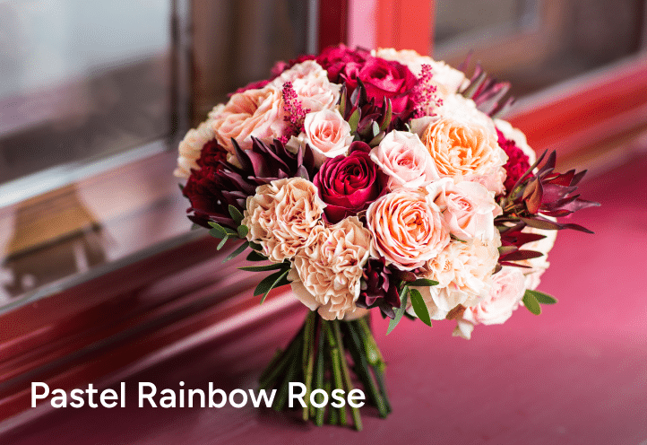 Pastel Rainbow Rose